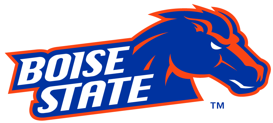 Boise State Broncos 2012-2013 Secondary Logo iron on transfers for clothing